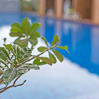 Vann Pool Access